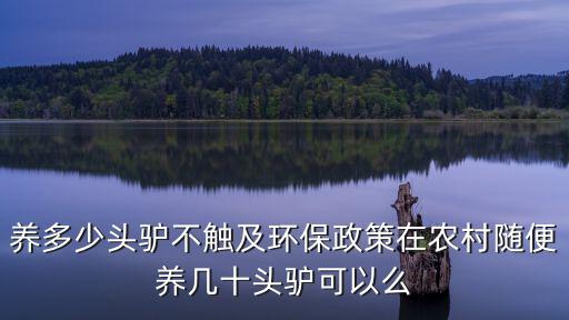 養(yǎng)多少頭驢不觸及環(huán)保政策在農(nóng)村隨便養(yǎng)幾十頭驢可以么