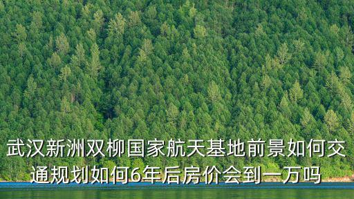 武漢房價十年后怎么樣,武漢房價會漲到5萬嗎