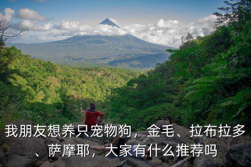 我朋友想養只寵物狗，金毛、拉布拉多、薩摩耶，大家有什么推薦嗎