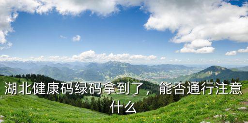 湖北人通行綠碼怎么辦理,如果不辦理湖北健康碼