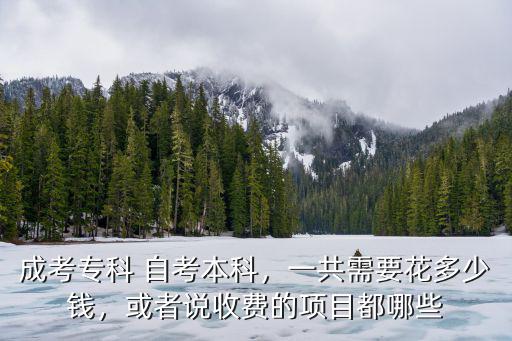 成考專科 自考本科，一共需要花多少錢，或者說收費的項目都哪些