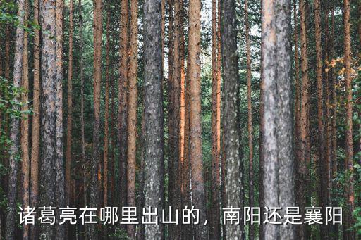 南陽城墻在哪里,諸葛亮在哪里出山的