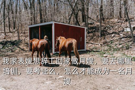 商丘月嫂證哪里考證,月嫂證怎么報考
