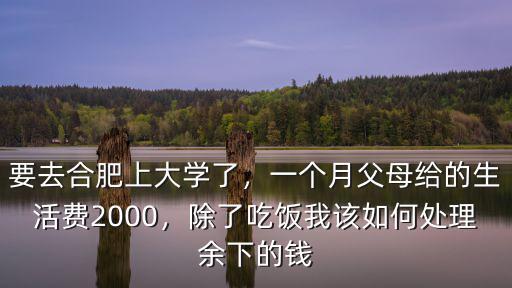 要去合肥上大學了，一個月父母給的生活費2000，除了吃飯我該如何處理余下的錢