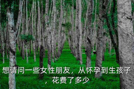 想請問一些女性朋友，從懷孕到生孩子，花費了多少