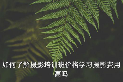 銅陵攝影培訓班學費多少錢,美食攝影培訓多少錢