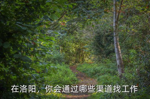 在洛陽，你會通過哪些渠道找工作