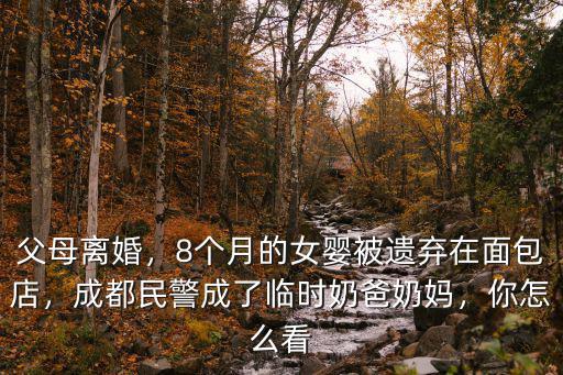 成都哪里可以找到奶媽,在成都哪里可以學催乳師呢