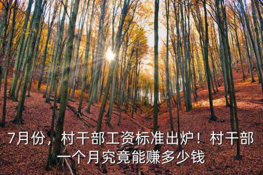7月份，村干部工資標準出爐！村干部一個月究竟能賺多少錢