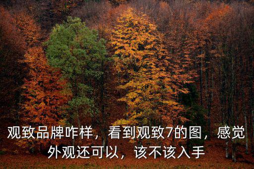 武漢寶能觀致怎么樣,你覺得觀致怎么樣