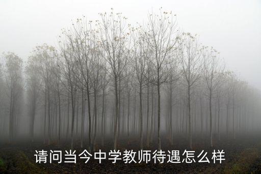 請問當今中學教師待遇怎么樣