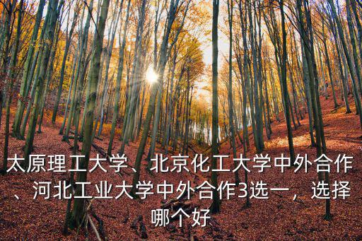 河北工業大學中外合作學費是多少,河北工業大學中外合作3選一