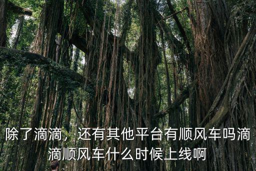 除了滴滴，還有其他平臺有順風(fēng)車嗎滴滴順風(fēng)車什么時候上線啊