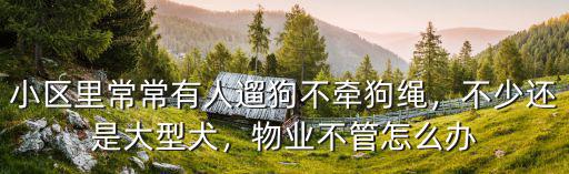 小區(qū)里常常有人遛狗不牽狗繩，不少還是大型犬，物業(yè)不管怎么辦