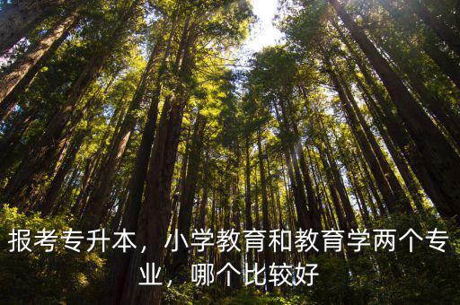 報考專升本，小學教育和教育學兩個專業，哪個比較好