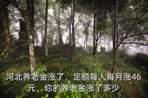 今年河北基礎(chǔ)養(yǎng)老金是多少,河北養(yǎng)老金上調(diào)多少