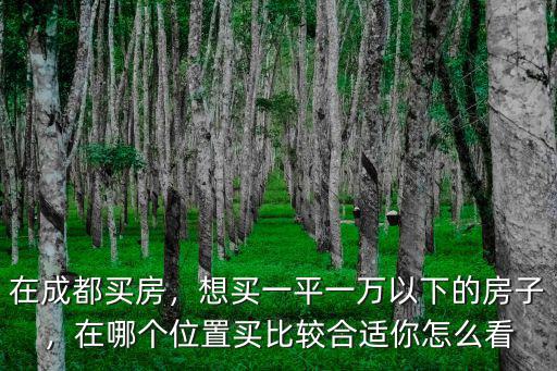 在成都買房，想買一平一萬以下的房子，在哪個(gè)位置買比較合適你怎么看