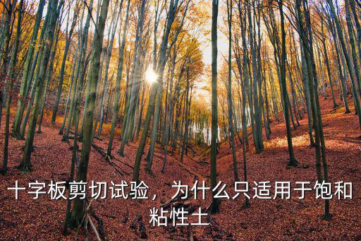 安徽便攜式十字板剪切儀多少錢(qián),十字板剪切試驗(yàn)