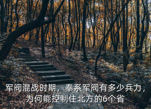 安徽部隊有多少兵力,奉系軍閥有多少兵力