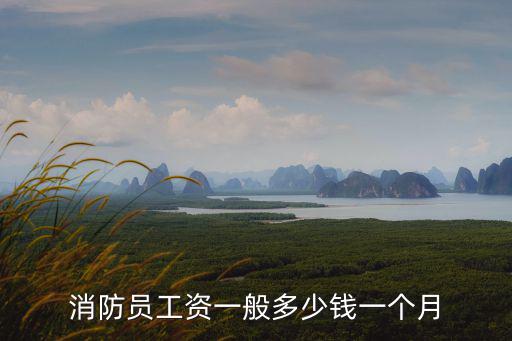 邢臺市消防隊工資多少,消防員待遇工資是多少