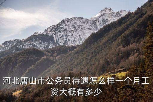 河北唐山市公務員待遇怎么樣一個月工資大概有多少
