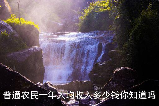 普通農民一年人均收入多少錢你知道嗎