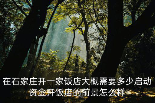 石家莊開飯店需要多少錢一個月,開飯店的前景怎么樣