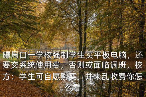 曝周口一學校強制學生買平板電腦，還要交系統使用費，否則或面臨調班，校方：學生可自愿購買，并未亂收費你怎么看