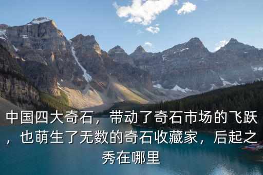 中國四大奇石，帶動了奇石市場的飛躍，也萌生了無數的奇石收藏家，后起之秀在哪里