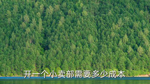 開一個小賣部需要多少成本
