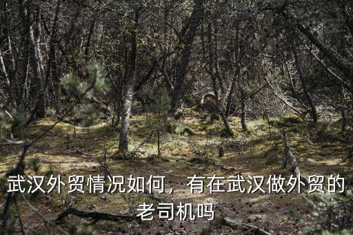 武漢的外貿發展怎么樣,武漢外貿情況如何