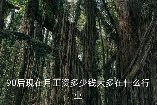 90后現(xiàn)在月工資多少錢大多在什么行業(yè)