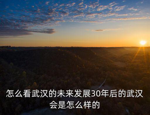 怎么看武漢的未來發展30年后的武漢會是怎么樣的