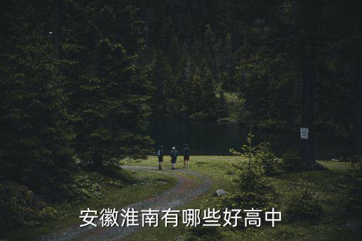 淮南四中考大學的有多少,淮南有哪幾所大學