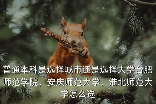 淮北師范大學成人高考分數線多少,淮北師范大學怎么選