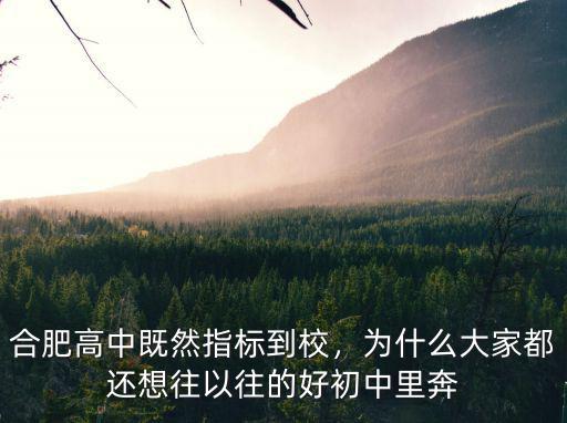 合肥168高中指標到校多少分,合肥高中既然指標到校