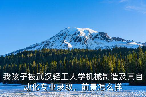 我孩子被武漢輕工大學(xué)機(jī)械制造及其自動(dòng)化專業(yè)錄取，前景怎么樣