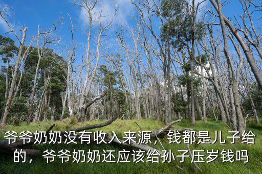 爺爺奶奶沒有收入來源，錢都是兒子給的，爺爺奶奶還應該給孫子壓歲錢嗎