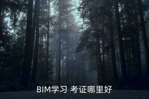 成都哪里bim培訓班好,BIM學習 考證哪里好