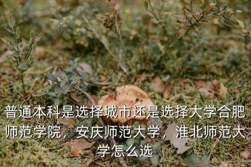 普通本科是選擇城市還是選擇大學合肥師范學院，安慶師范大學，淮北師范大學怎么選