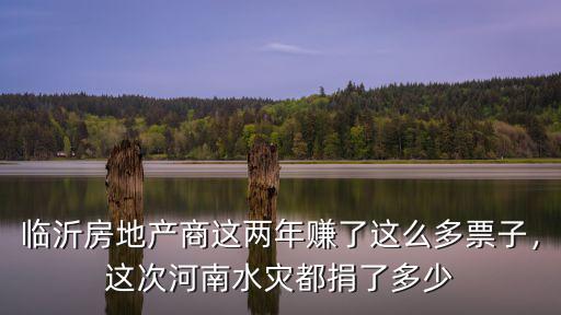 河南水災(zāi)361集團(tuán)捐多少錢(qián),這次河南水災(zāi)都捐了多少
