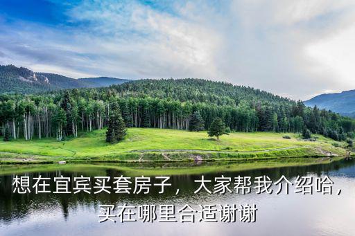 宜賓未來城市中心在哪里,宜賓未來的城市中心在哪里