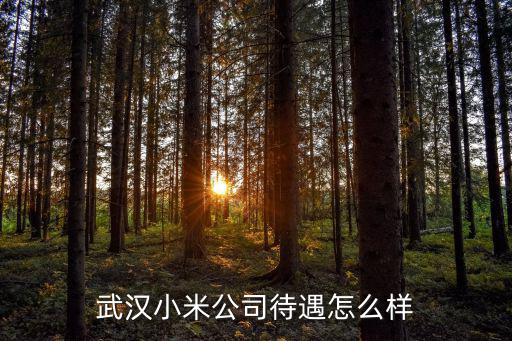 鄭州小米待遇怎么樣,武漢小米公司待遇怎么樣