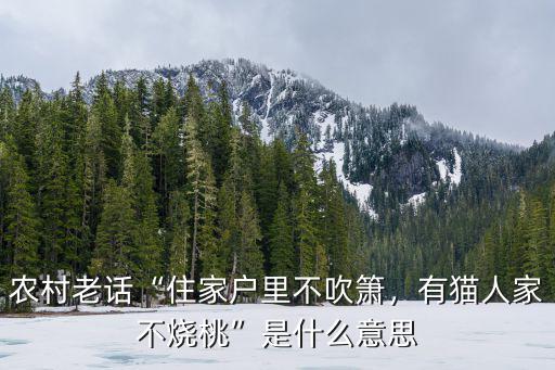 農(nóng)村老話“住家戶里不吹簫，有貓人家不燒桃”是什么意思