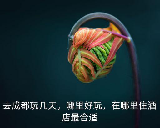 去成都酒店最好定哪里,去成都玩幾天