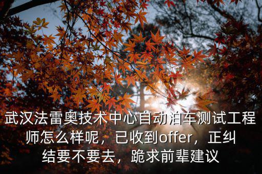 邁遼技術轉移中心武漢怎么樣,武漢科技大學怎么樣