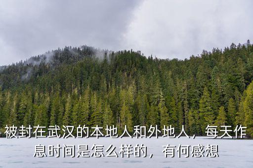 被封在武漢的本地人和外地人，每天作息時間是怎么樣的，有何感想