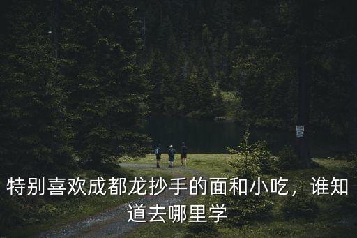 特別喜歡成都龍抄手的面和小吃，誰(shuí)知道去哪里學(xué)