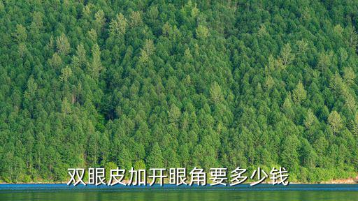雙眼皮加開(kāi)眼角要多少錢