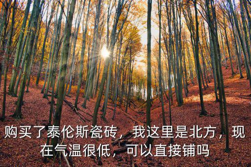 購買了泰倫斯瓷磚，我這里是北方，現(xiàn)在氣溫很低，可以直接鋪嗎